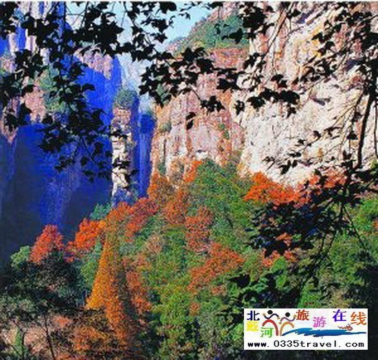 請父母旅游小貼士