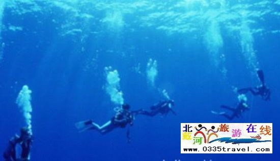 北戴河碧螺塔行者潛水俱樂部