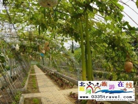 北戴河集發(fā)生態(tài)觀光園