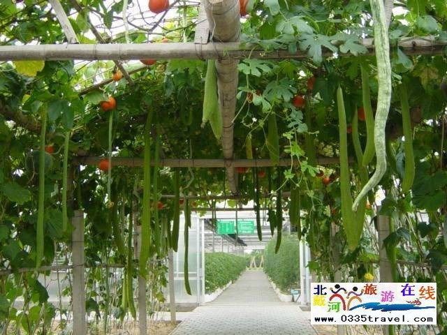 北戴河集發(fā)生態(tài)觀光園