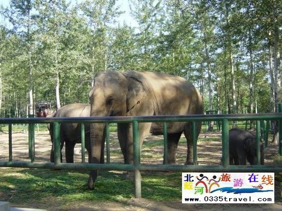 秦皇島野生動(dòng)物園