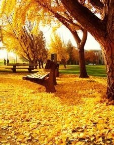 秋日童話(huà)主題旅游