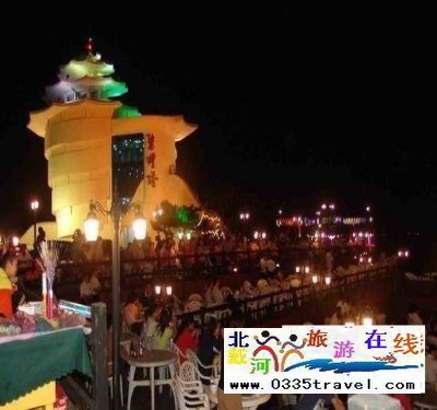 北戴河碧螺塔酒吧公園門票一張