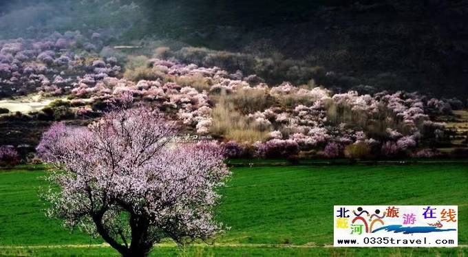 秦皇島至西藏林芝旅游必讀之西藏旅游常見問(wèn)題解答