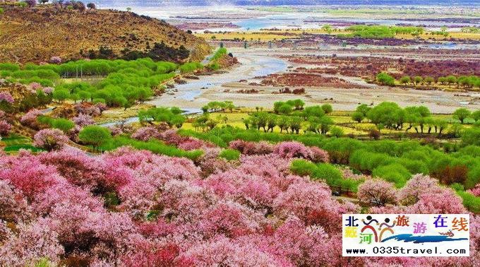 秦皇島至西藏林芝旅游必讀之西藏旅游常見問(wèn)題解答