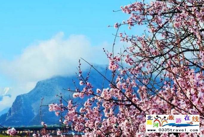 秦皇島至西藏林芝旅游必讀之西藏旅游常見問(wèn)題解答