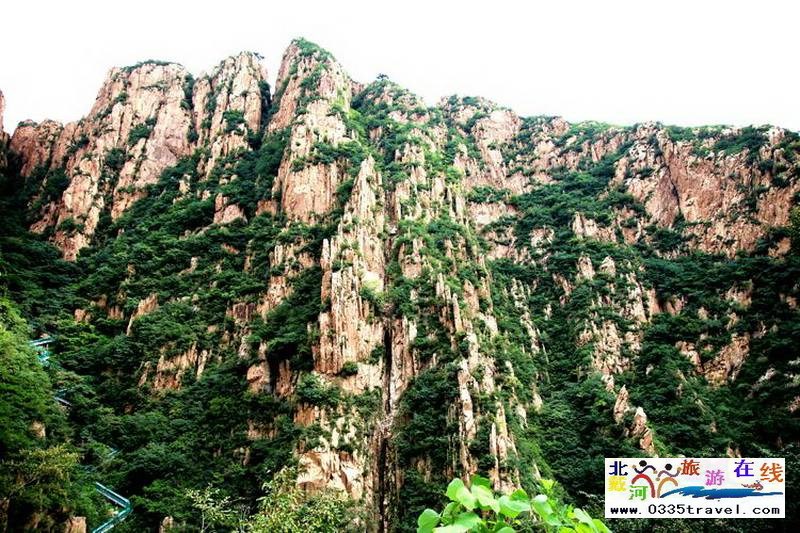 秦皇島龍?jiān)乒龋∩叫闼┚皡^(qū)電話18633570222  15703350808