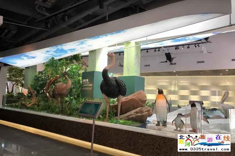 秦皇島北戴河鳥類博物館