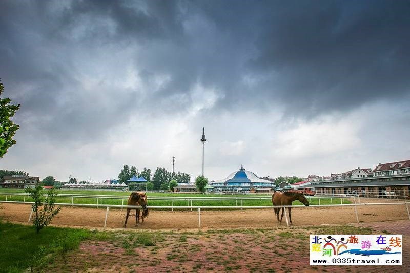 北戴河英倫國際馬術(shù)俱樂部