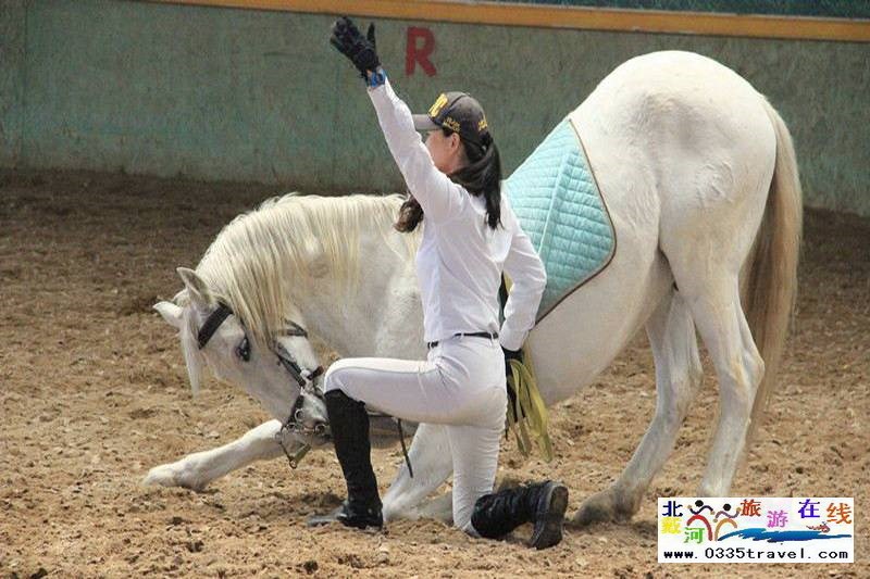 北戴河英倫國際馬術(shù)俱樂部