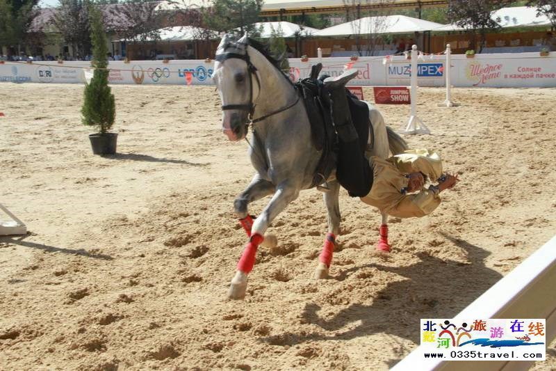 北戴河英倫國際馬術(shù)俱樂部