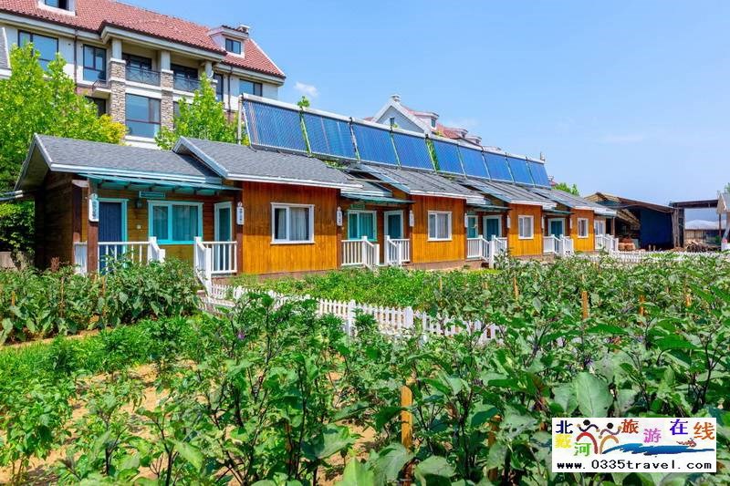 北戴河英倫國際馬術(shù)俱樂部